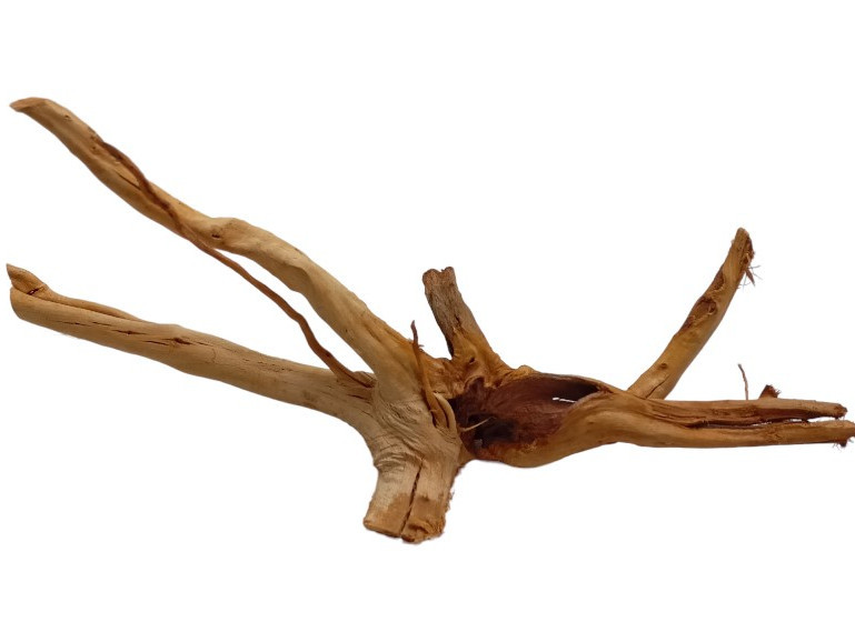 Mitoja Red Moor Wood Premium 13 - Korzeń do akwarium
