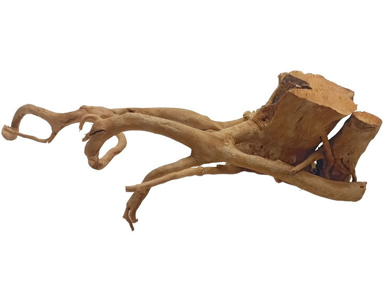 Mitoja Red Moor Wood Premium 30 - Korzeń do akwarium