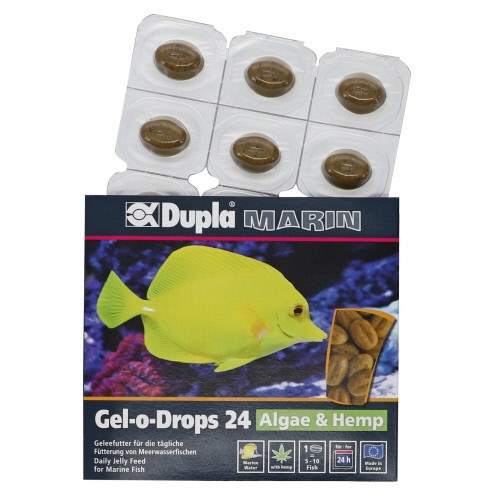 Dupla Gel-O-Drops 24 Algae&Hemp 12x2g Pokarm w żelu