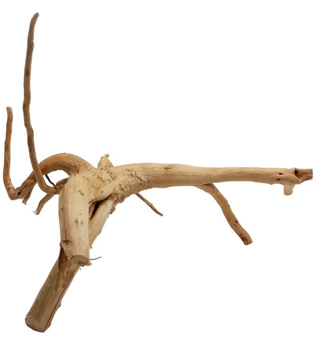 Mitoja Red Moor Wood Premium 8 - Korzeń do akwarium
