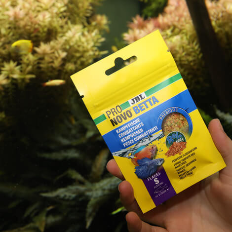 JBL Pronovo Betta Flakes S 20 ml Pokarm dla bojowników