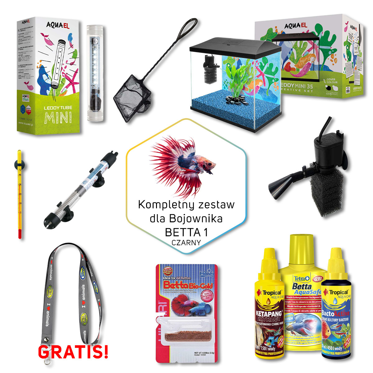 BETTA 1 Zestaw akwarium dla bojownika 19L czarny + gratis
