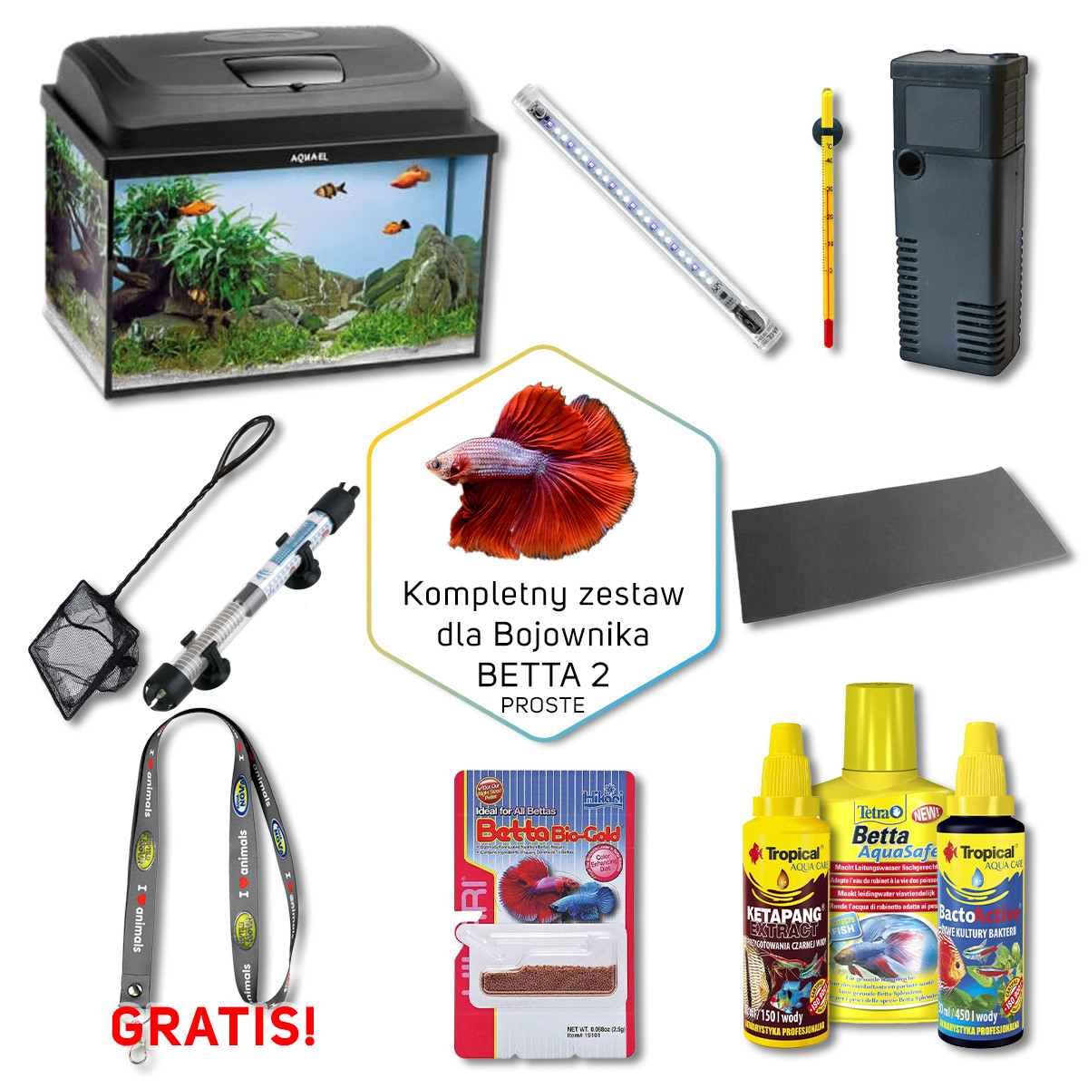 BETTA 2 Zestaw akwarium dla bojownika 25L PROSTE + gratis