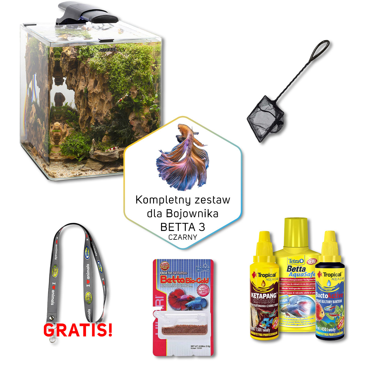 BETTA 3 Zestaw akwarium dla bojownika OPTI 19L czarny + gratis