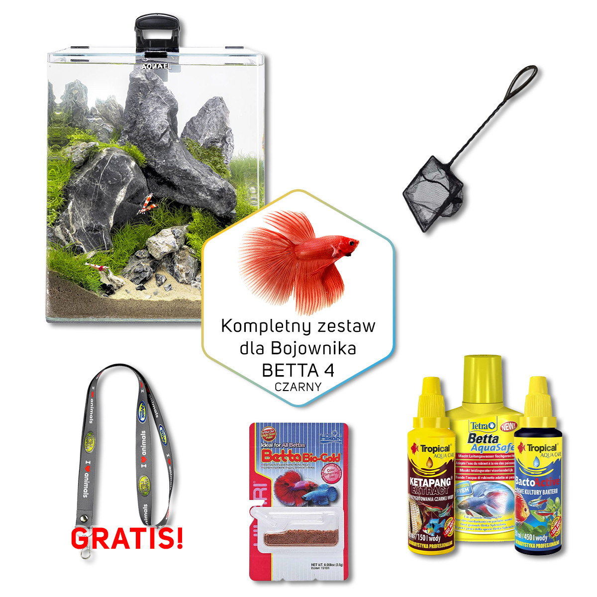 BETTA 4 Zestaw akwarium dla bojownika OPTI 29L czarny + gratis