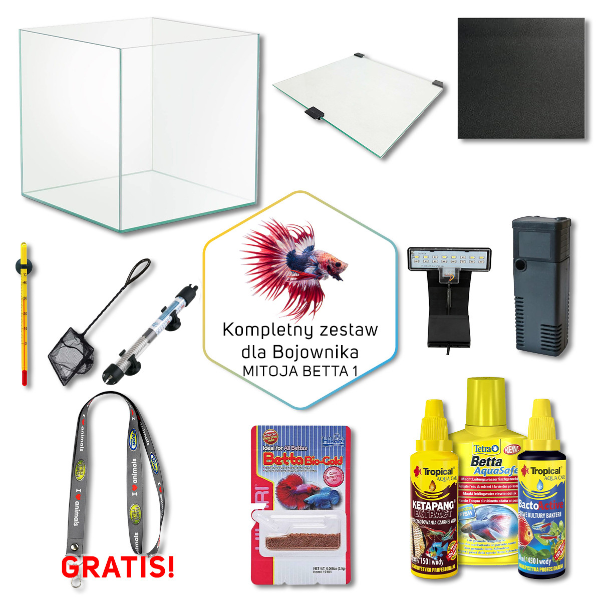 Mitoja Betta 1 Zestaw akwarium dla bojownika 19L Fiiltr wewnętrzny + gratis