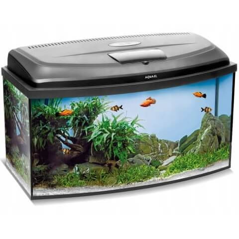Aquael Classic Box 80 Akwarium profil + pokrywa LED D&N + gratisy