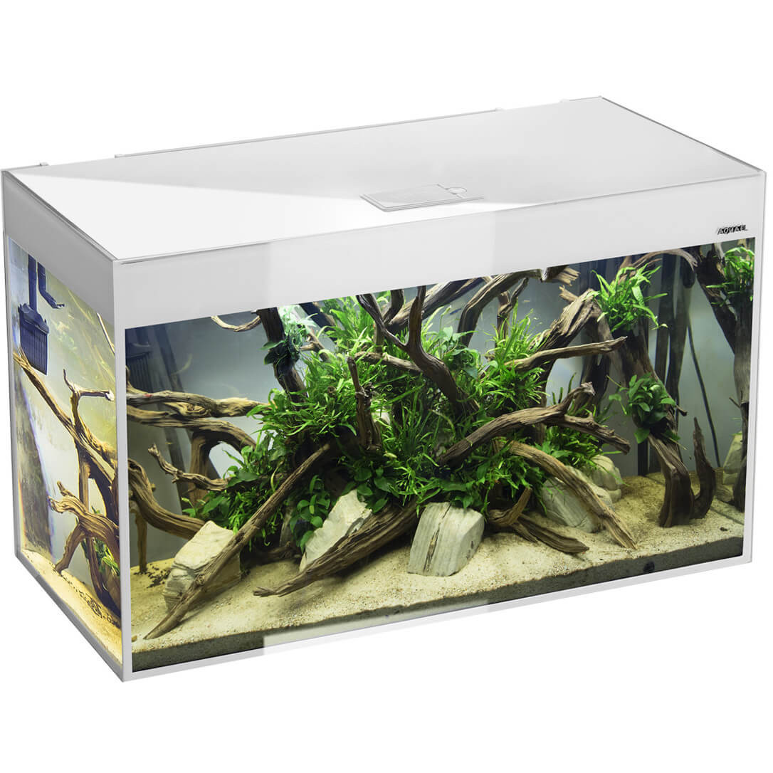 Aquael Glossy ST 100 D&N Zestaw akwarium biały LED + gratisy