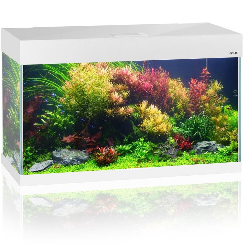 Aquael Opti Set 125 LED biały akwarium