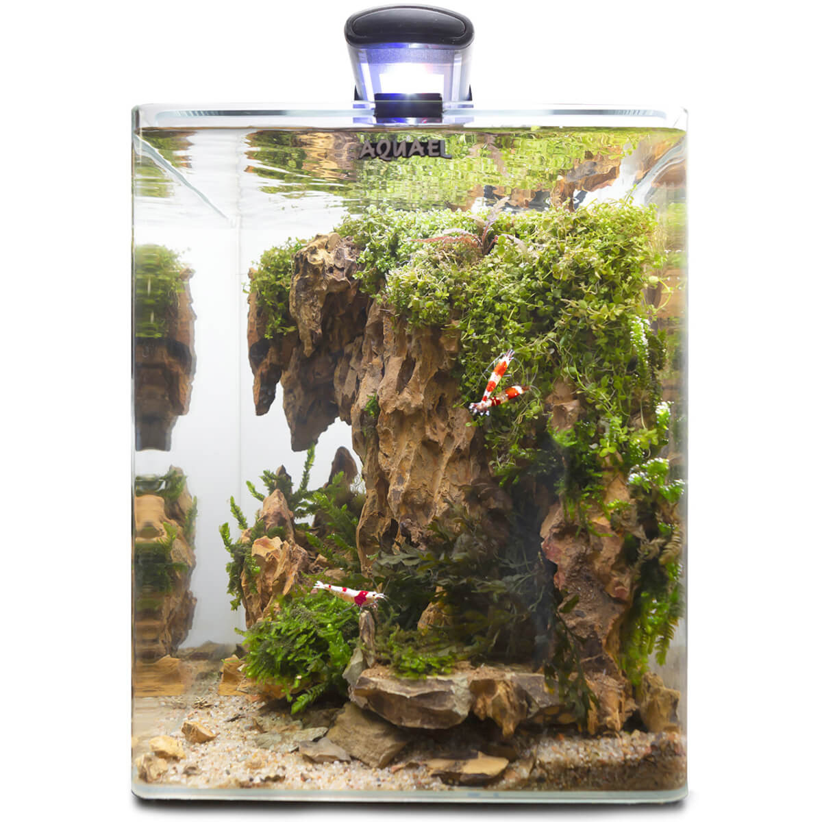 Aquael OptiBent 20 Zestaw akwarium czarny LED D&N + gratisy