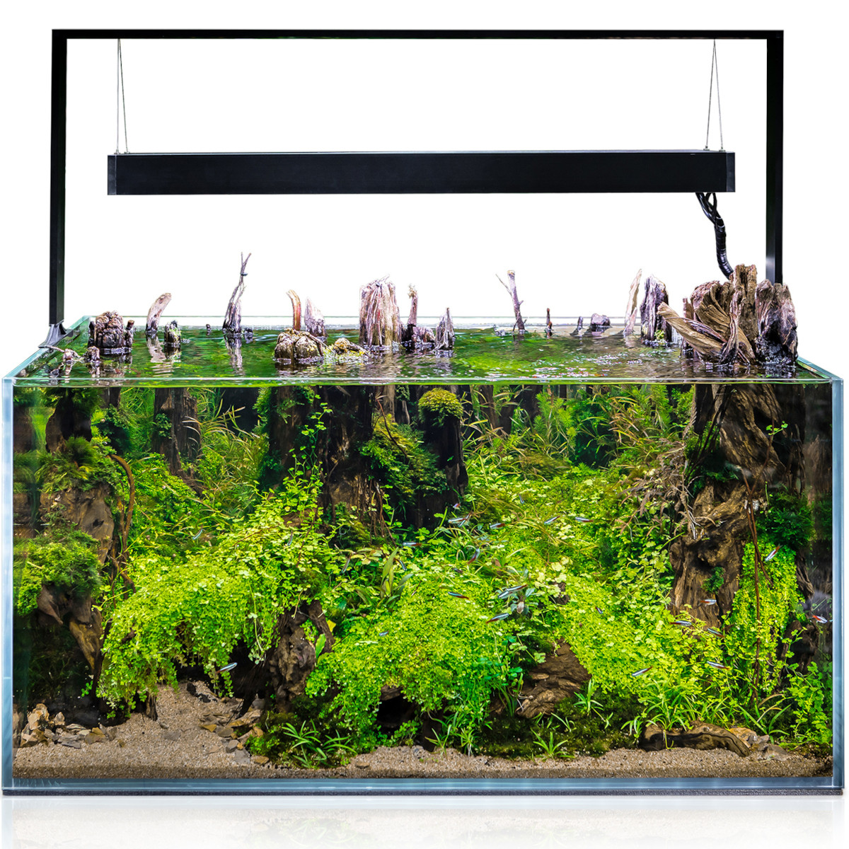 Aquael Ultrascape 90 Forest Akwarium zestaw LED 4x14W + gratisy