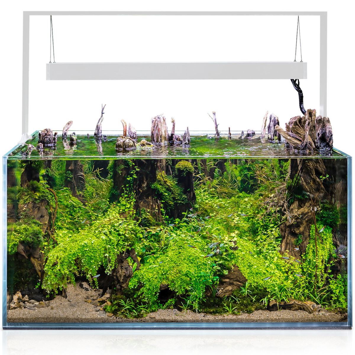 Aquael Ultrascape 90 Snow Akwarium zestaw LED 4x14W + gratisy