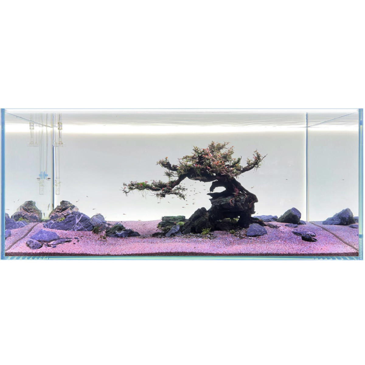Diversa Backlight LED 150x50 - Tło podświetlane białe do akwarium