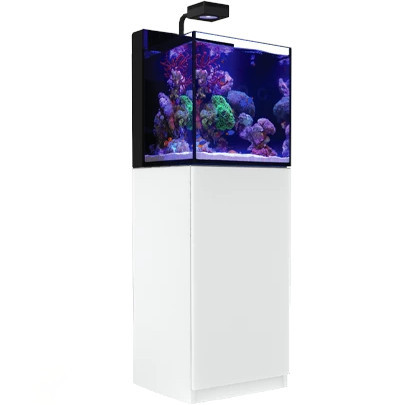 Red Sea Max Nano Reef System 75l Zestaw akwarium morskie + biała szafka