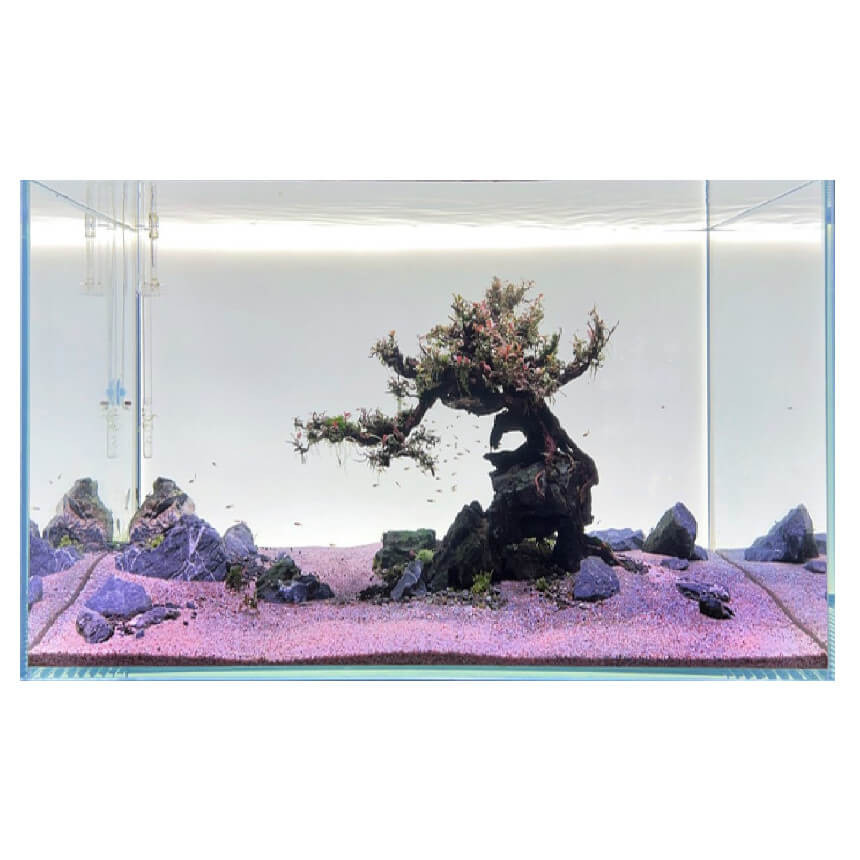 Diversa Backlight LED 90x45 - Tło podświetlane białe do akwarium
