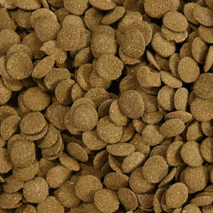 Glopex Algen Wafers 1kg - Spirulina glonojad kirysek