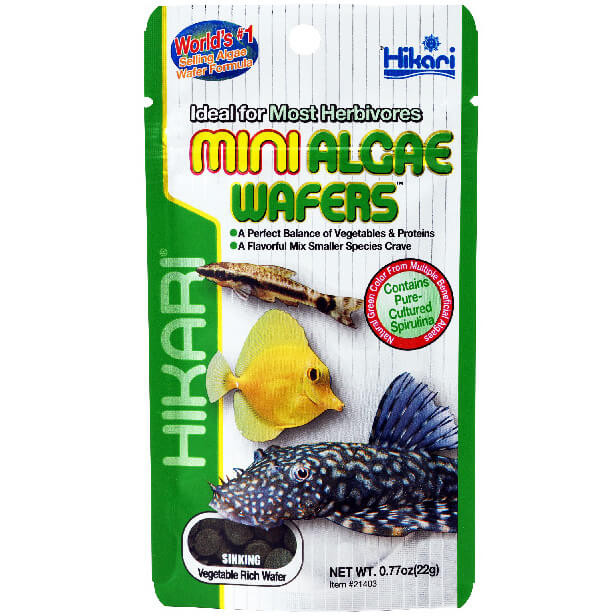 Hikari Mini Algae Wafers 22g Pokarm dla glonojadów