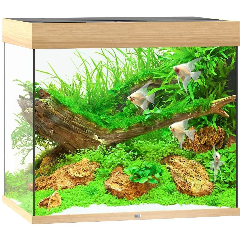Juwel Lido 200 Helialux Spectrum Akwarium zestaw jasne drewno