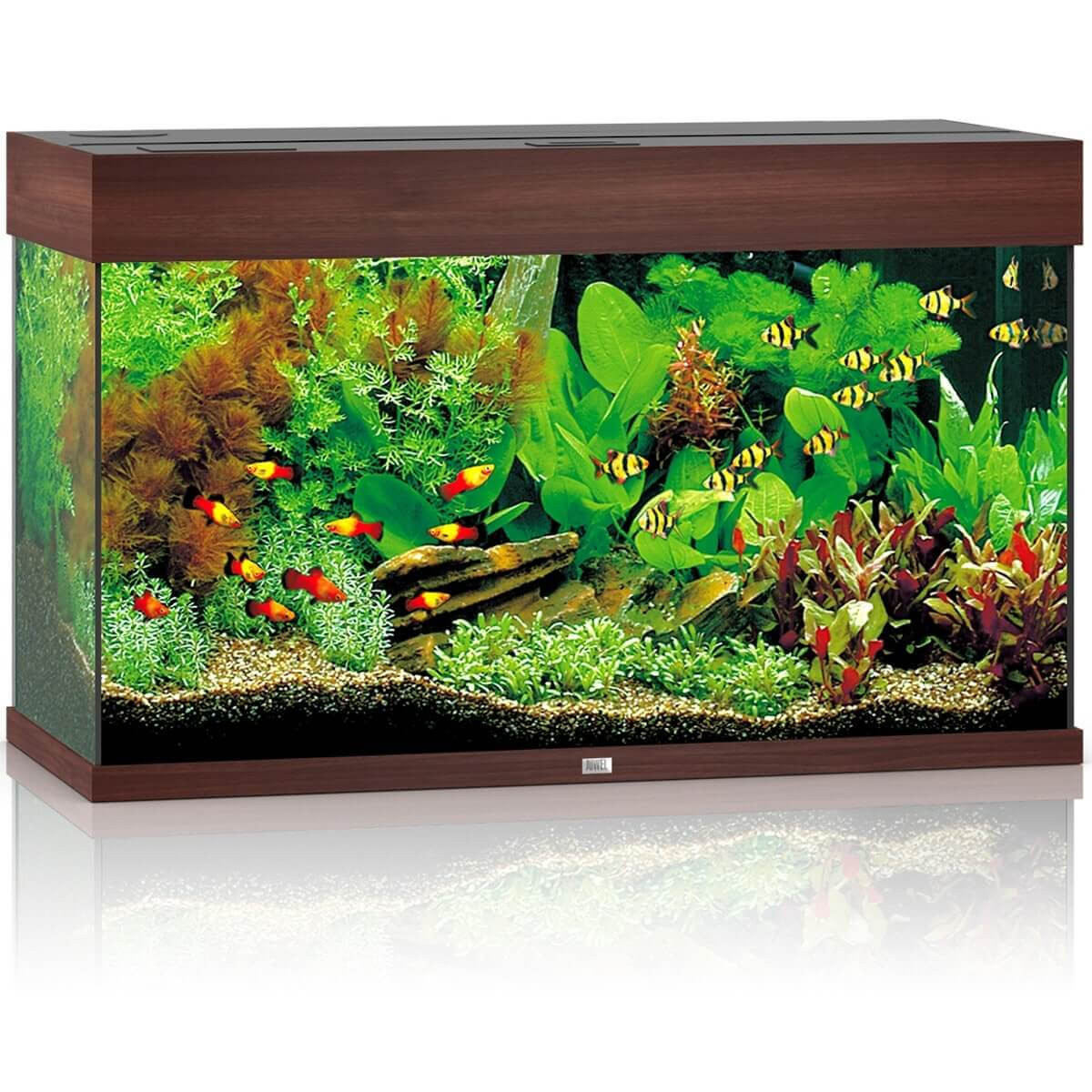 Juwel Rio 125 LED akwarium zestaw ciemne drewno