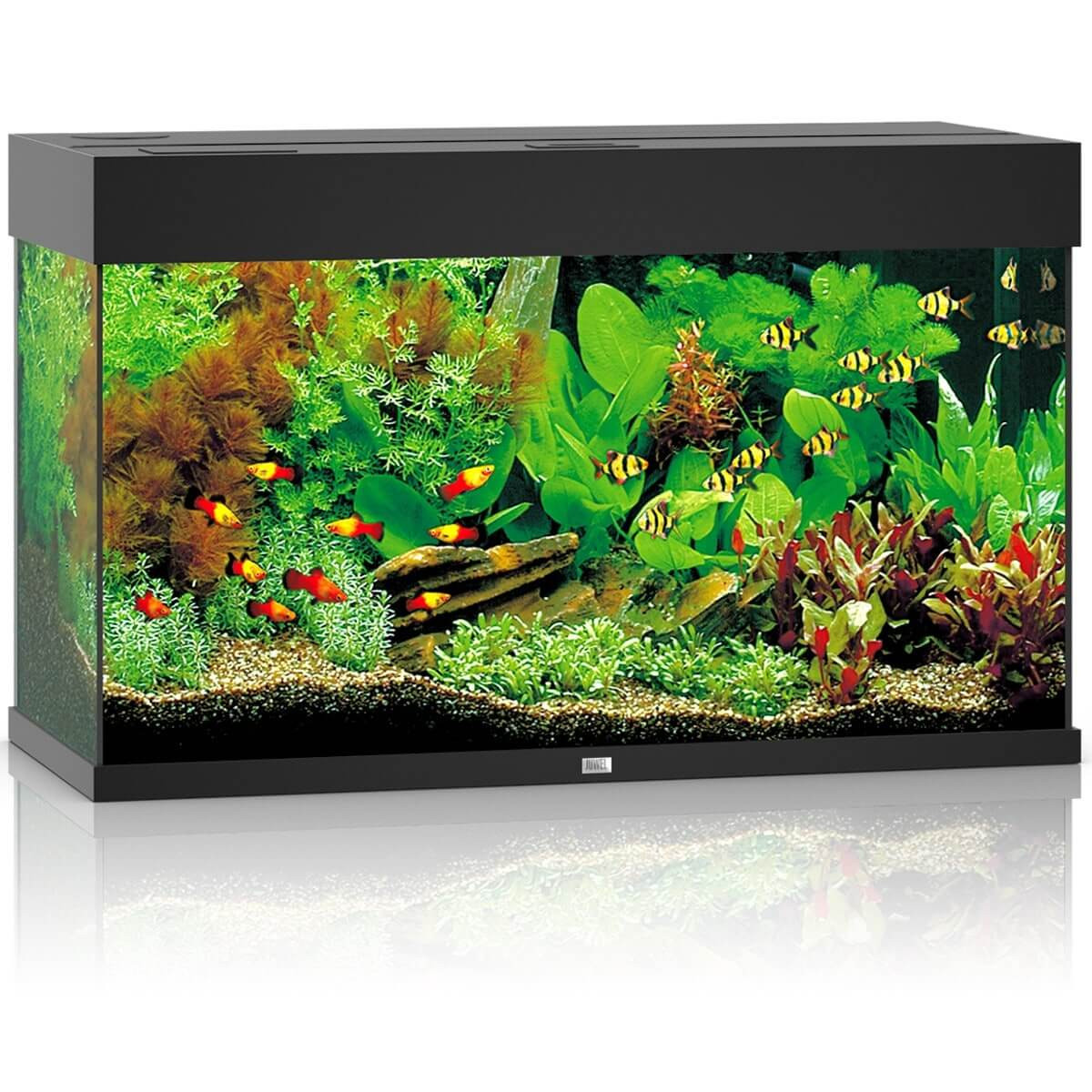 JUWEL RIO 125 HELIALUX SPECTRUM ZESTAW AKWARIUM CZARNY