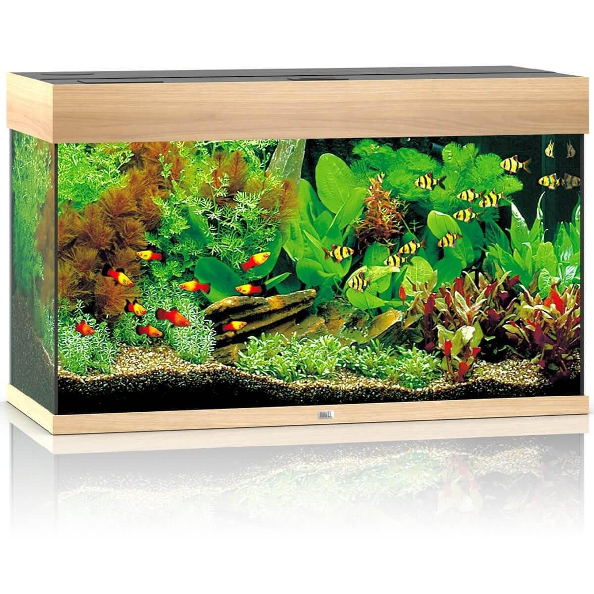 Juwel Rio 125 LED akwarium zestaw jasne drewno
