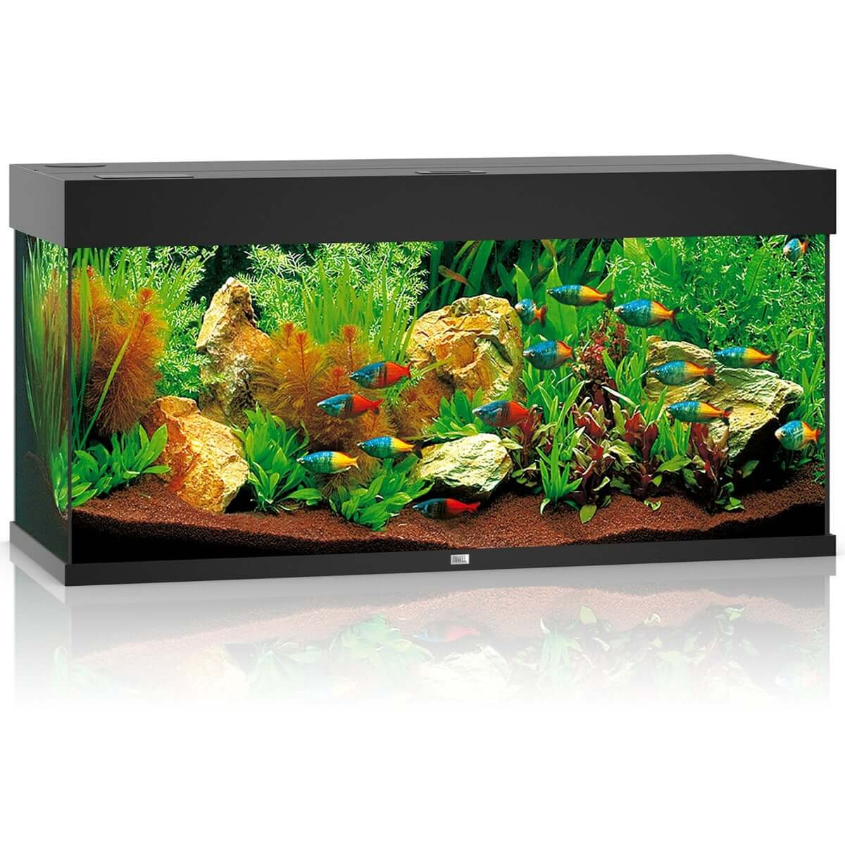 Juwel Rio 180 Helialux Spectrum zestaw akwarium czarny