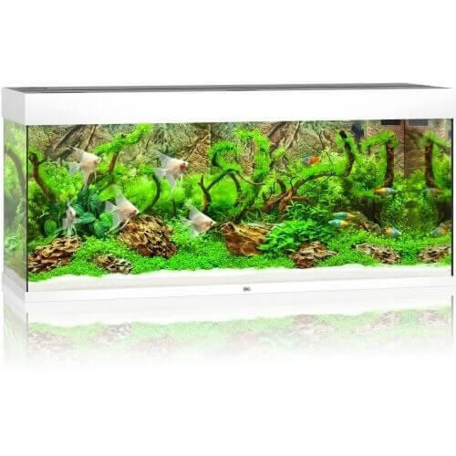 Juwel Rio 240 LED akwarium zestaw bisły