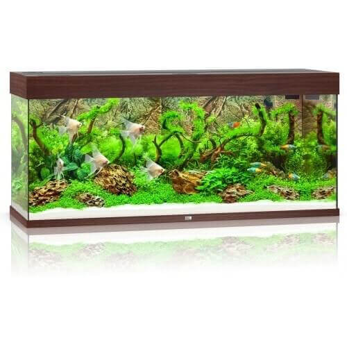 Juwel Rio 240 LED akwarium zestaw ciemne drewno