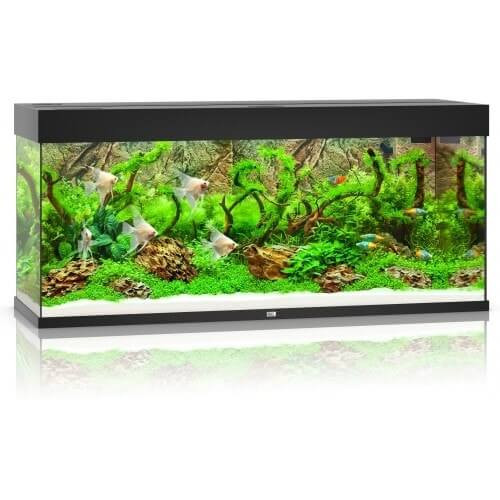 Juwel Rio 240 Helialux Spectrum zestaw akwarium czarny