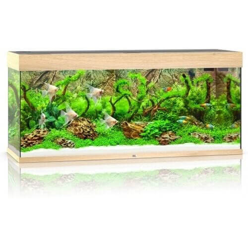 Juwel Rio 240 LED akwarium zestaw jasne drewno