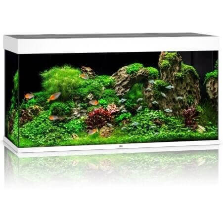 Juwel Rio 350 LED akwarium zestaw biały