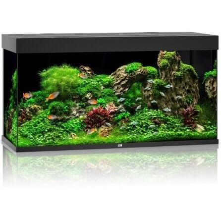 Juwel Rio 350 Helialux Spectrum zestaw akwarium czarny