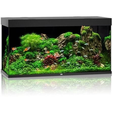 Juwel Rio 350 LED akwarium zestaw czarny
