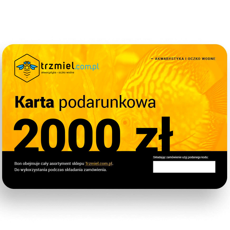 Karta podarunkowa Trzmiela 2000 zł1
