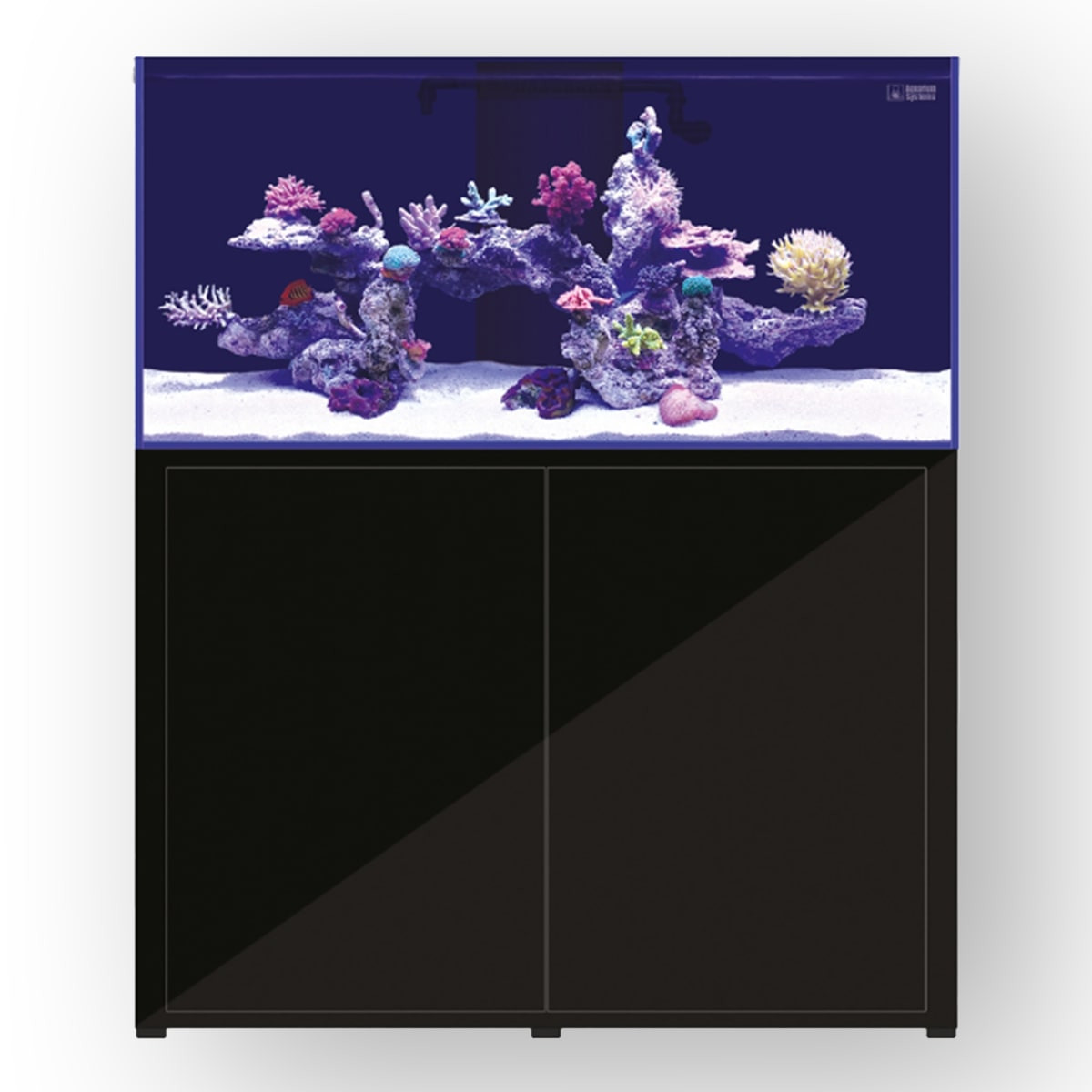 Aquarium Systems L'aquarium Set 570 Akwarium morskie zestaw + szafka