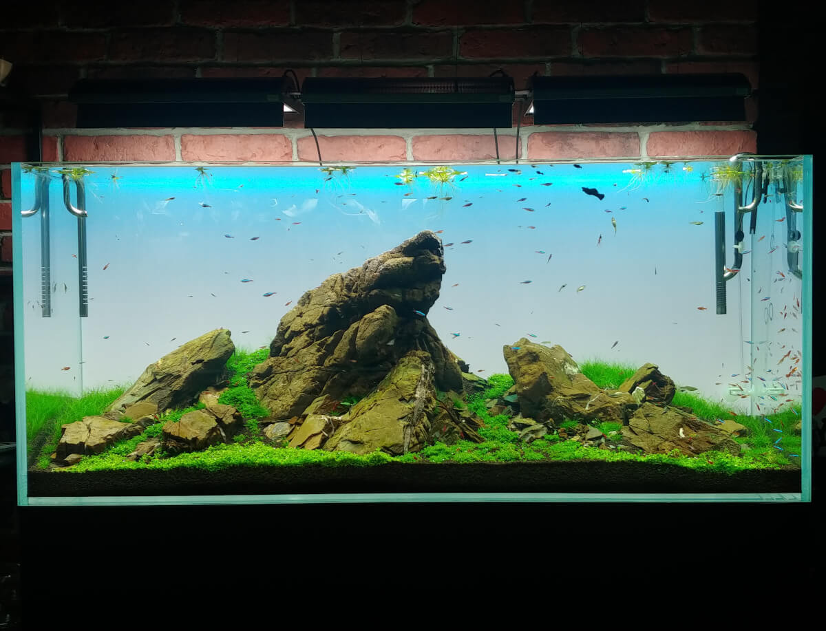 Lightground LED 90 x 40 cm 8mm - Tło podświetlane białe do akwarium 