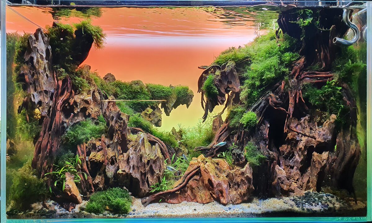 Lightground LED RGB 30x35cm 6mm - Tło podświetlane do akwarium 