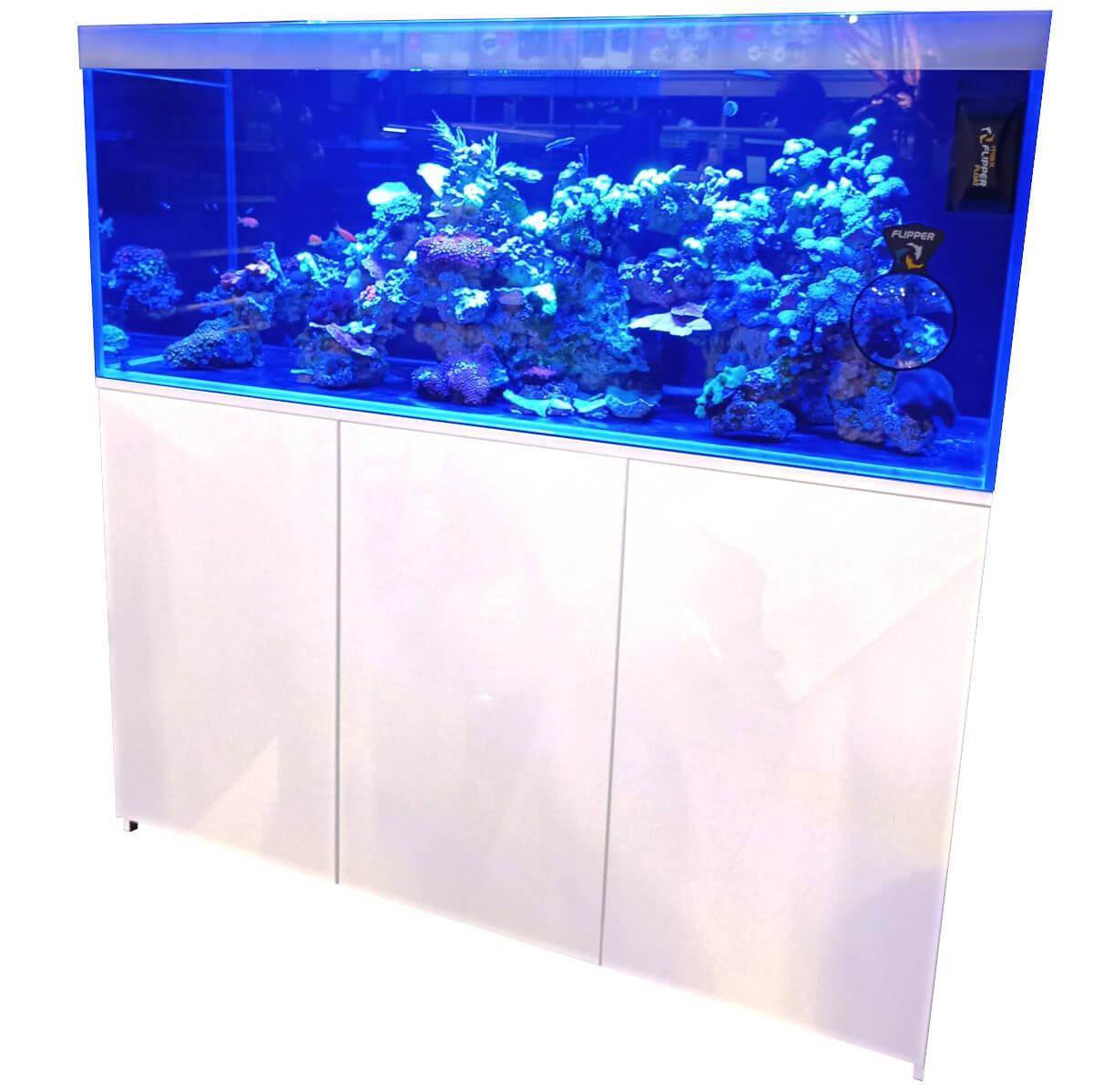 Mitoja Marine 150 kompletny zestaw z życiem
