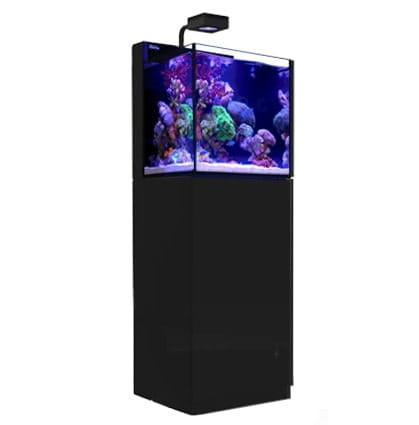 Red Sea Max Nano Peninsula Reef System 100L Zestaw akwarium morskie + czarna szafka