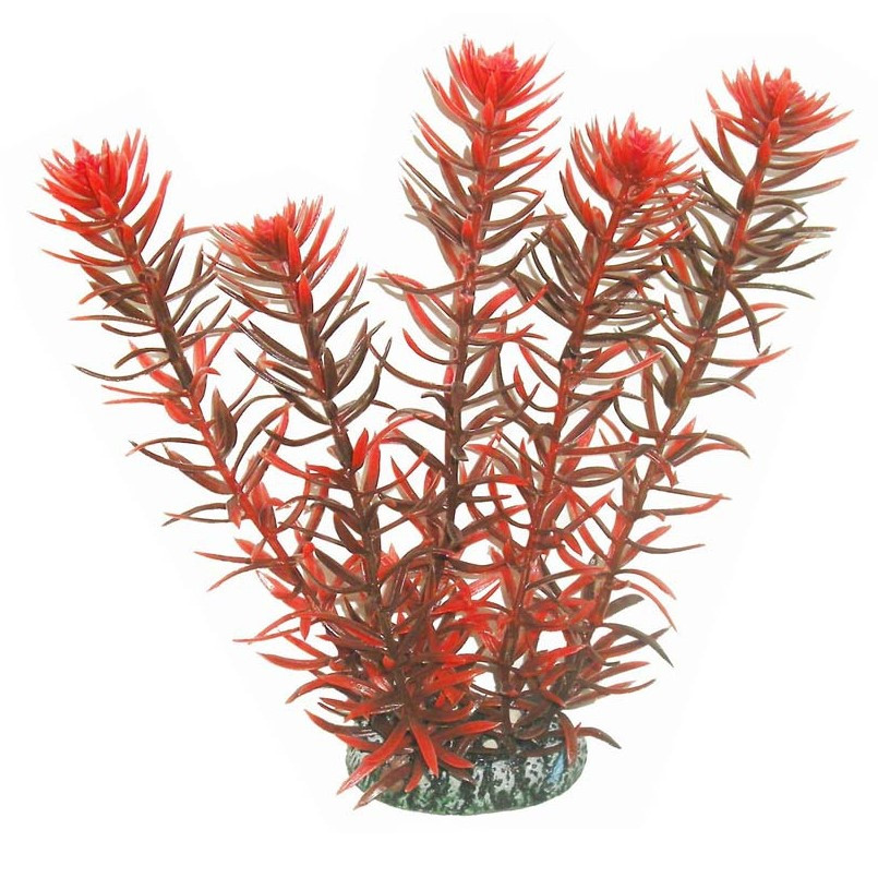 Aqua Nova Sztuczna roślina do akwarium 20cm  NP-20 20012