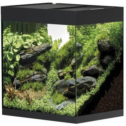 Oase StyleLine 85 LED czarny zestaw akwarium + filtr BioPlus Thermo 100