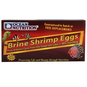 Ocean Nutrition Brine Shrimp Eggs 20g Jaja solowca artemia