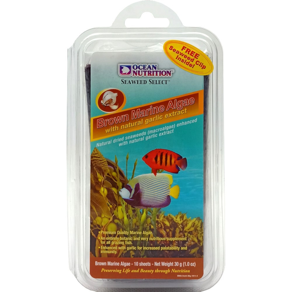 Ocean Nutrition Brown Marine Algae 30g Glony algi 10szt. + klips