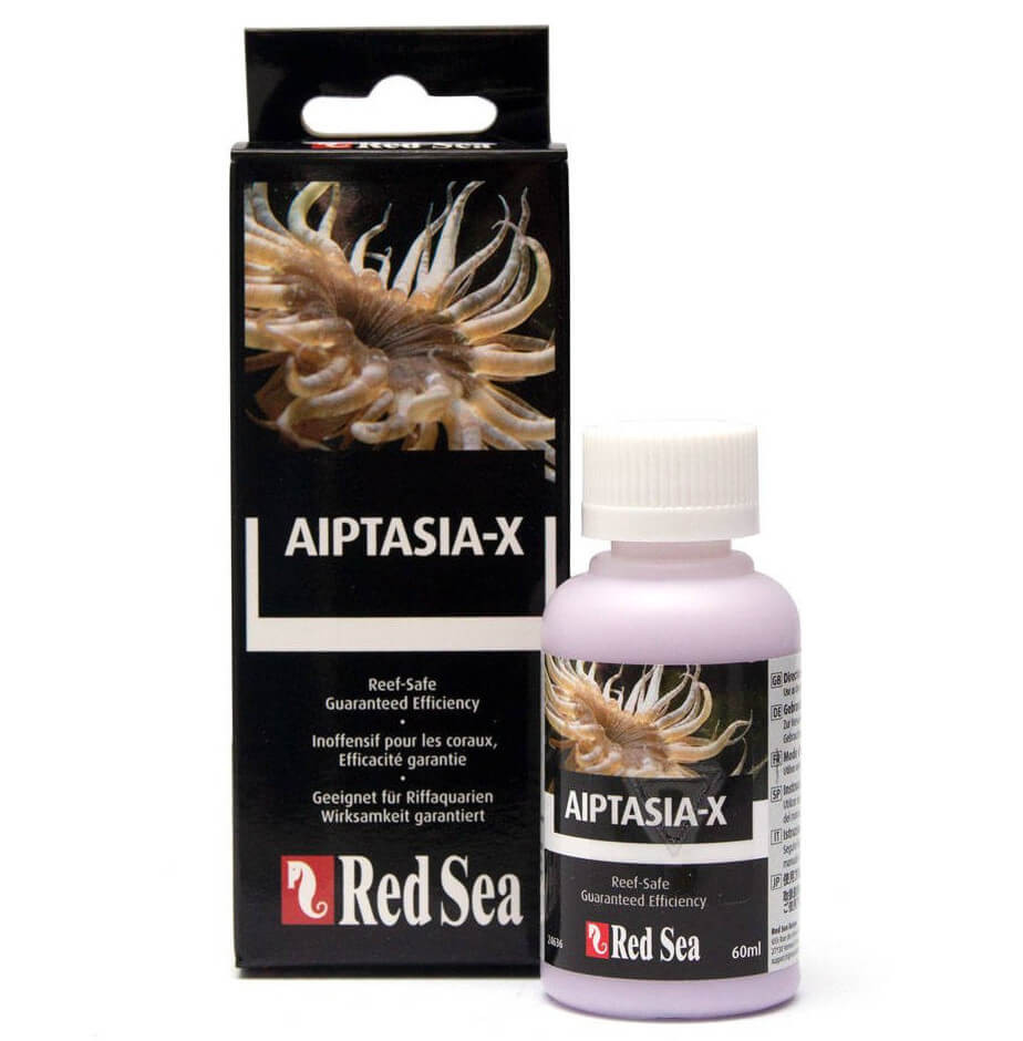 Red Sea Aiptasia-X 60ml Preparat do zwalczania Aiptasii