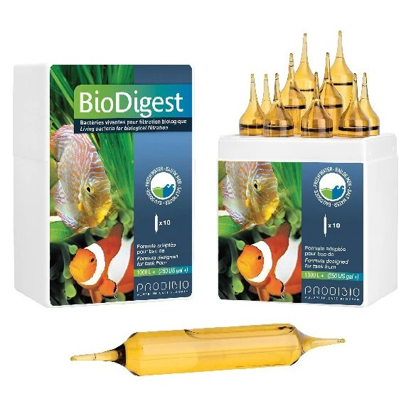 Prodibio BioDigest PRO 10 ampułek - Bakterie do filtracji biologicznej