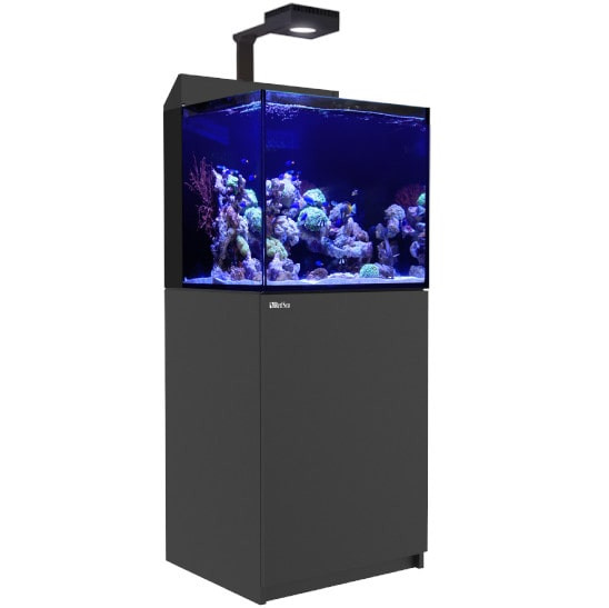 Red Sea MAX E Model 170 Czarny - Zestaw akwarium morskie + szafka