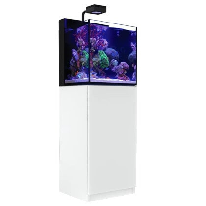 Red Sea Max Nano Peninsula Reef System 100L Zestaw akwarium morskie + biała szafka