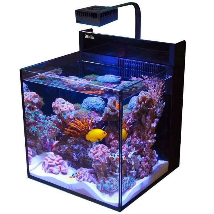 Red Sea Max Nano Reef System 75l akwarium + wyposażenie