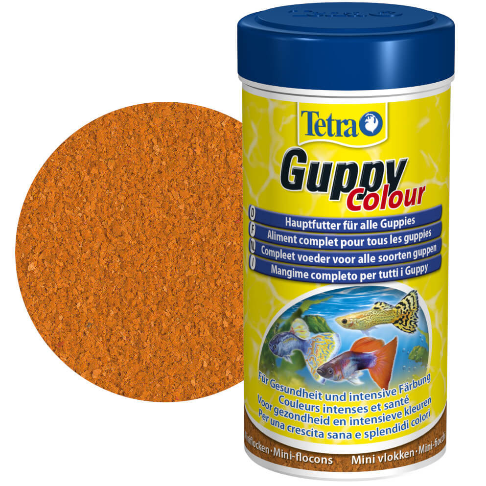 Tetra Guppy Colour Mini Flakes 250ml - 75g Pokarm dla gupików