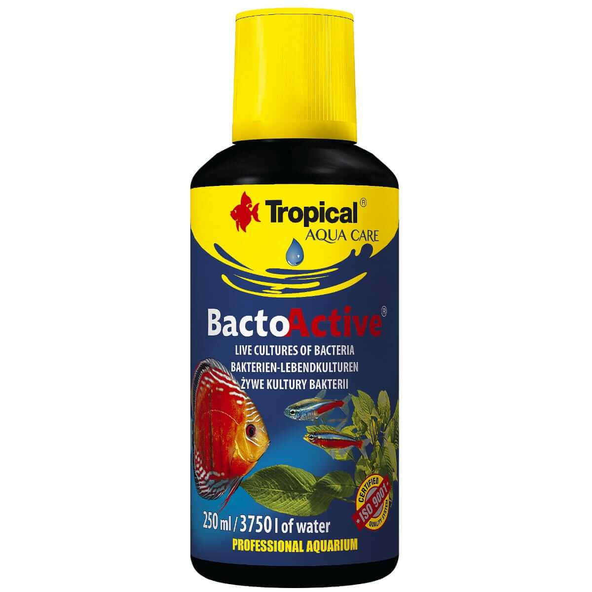 TROPICAL BACTO-ACTIVE 250ML - BAKTERIE BIOSTARTER